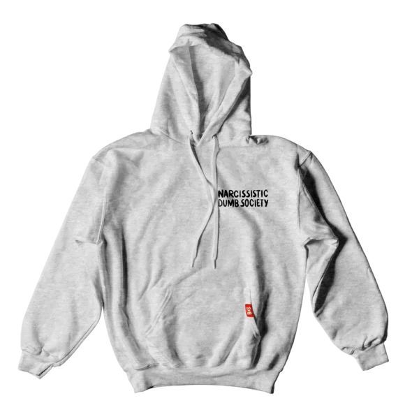 BS Skateboarding Hoodie Narcissistic Dumb Society gray