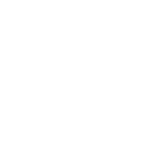 BS Skateboarding logo