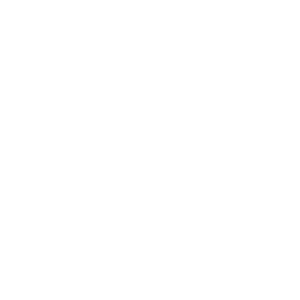 BS Skateboarding logo white