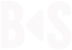 BS Skateboarding logo