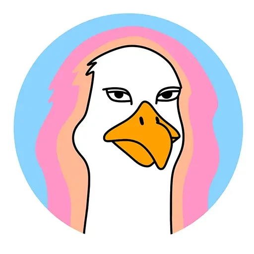 BS Skateboarding Seagull badge