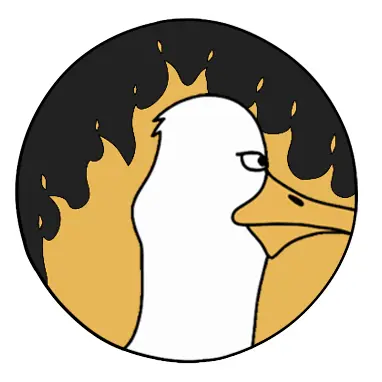 BS SKATEBOARDING SEAGULL
